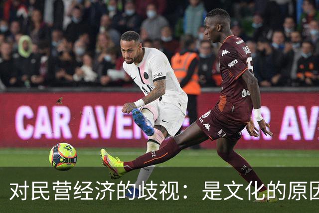 对民营经济的歧视：是文化的原因，还是意识形态的推动